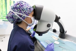 Servicio profesional y seguro