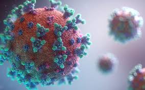 coronavirus.jpg